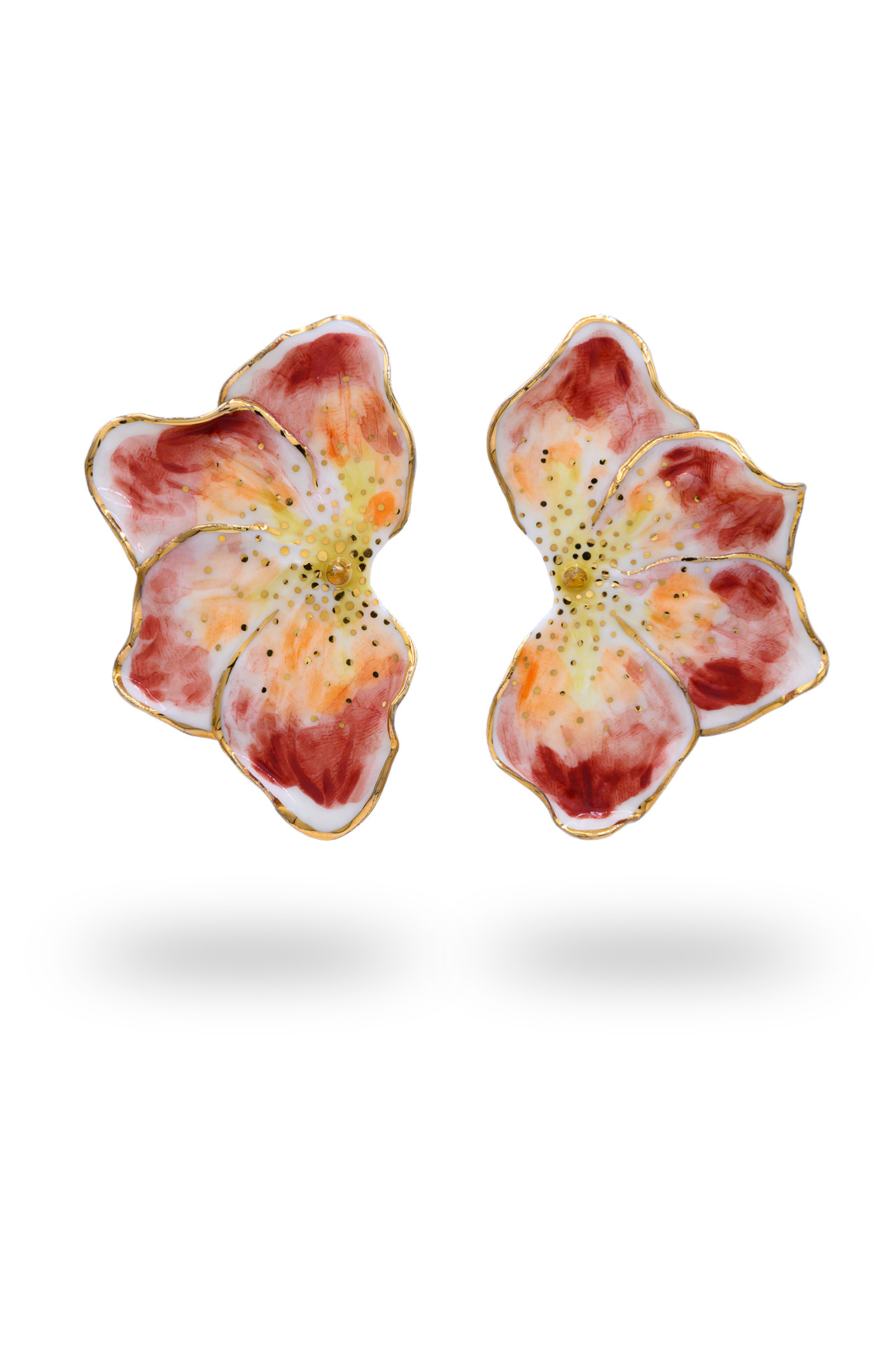 Begonia - dianacojocaru.it